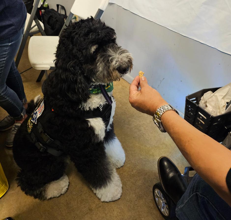 Hear in Texas Office Dog, Hear-O, At Local Community Event